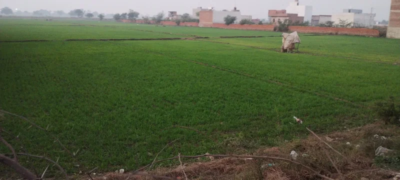 Govardhan, Uttar Pradesh, India preview 2