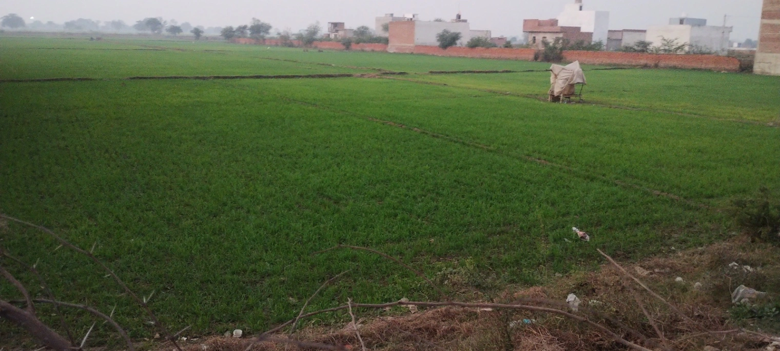 Govardhan, Uttar Pradesh, India