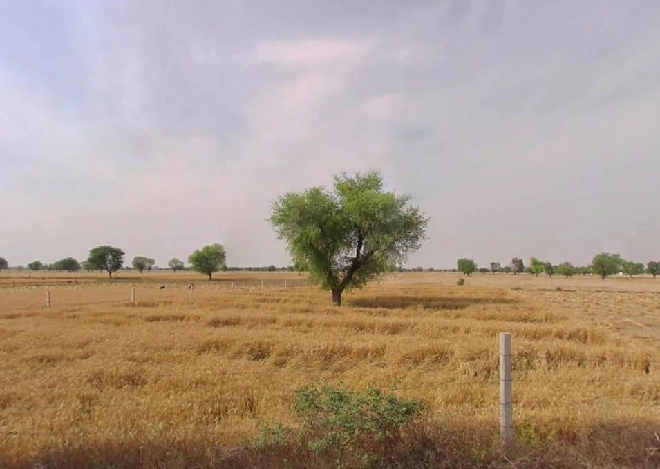 Dadar, Rajasthan 301001, India