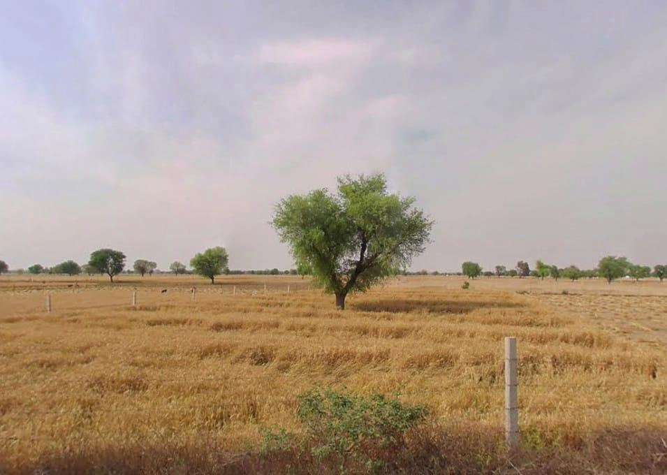 Dadar, Rajasthan 301001, India