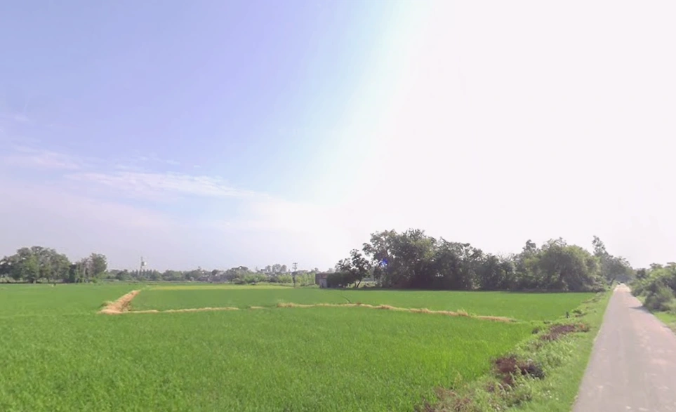 Mansa, Punjab 151505, India