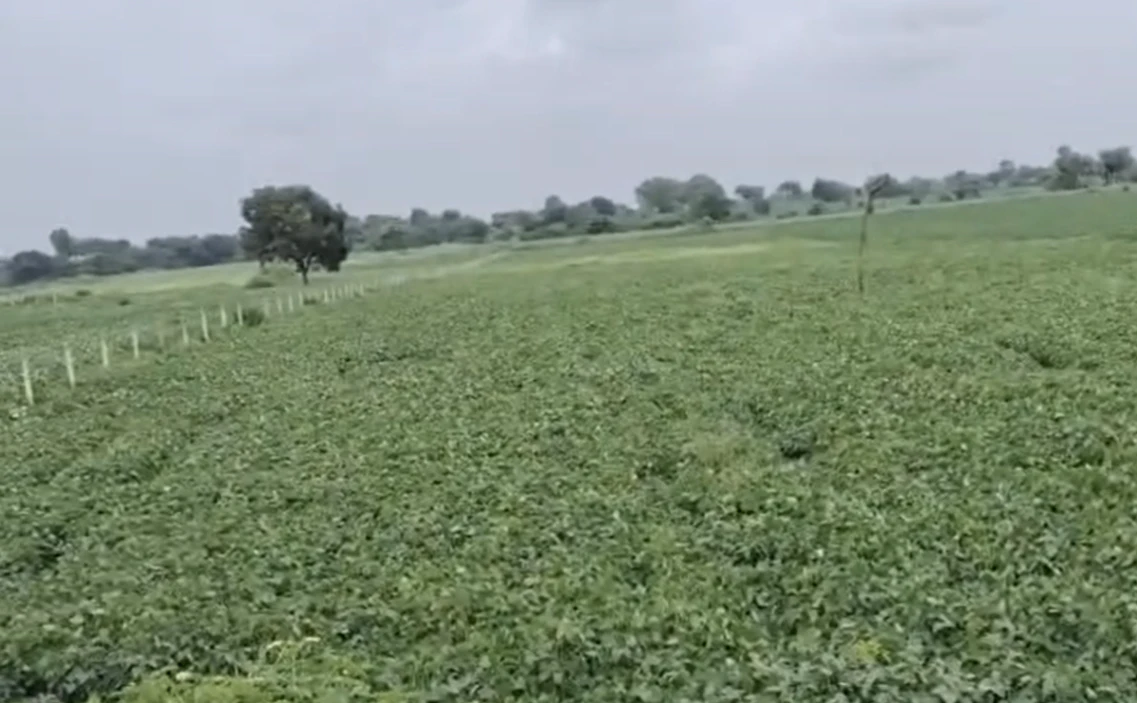 Durgapura, Dewas, Madhya Pradesh 455001, India