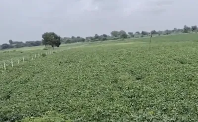 Durgapura, Dewas, Madhya Pradesh 455001, India preview 2