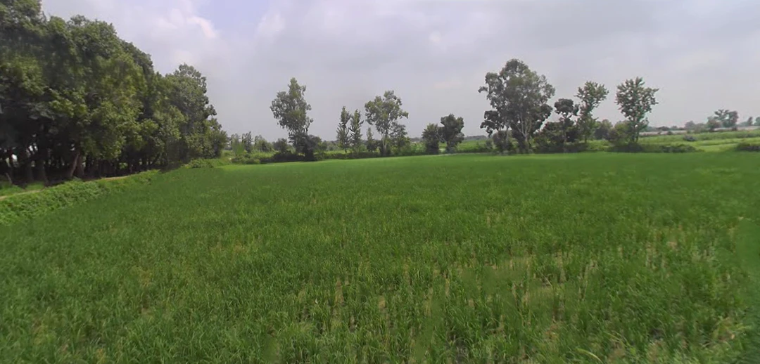 Khurja, Uttar Pradesh 203131, India