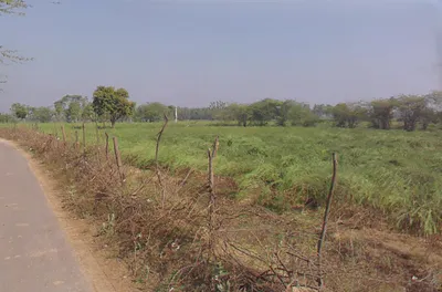 JW5V+XH9, Chaksu, Rajasthan 303901, India preview 2