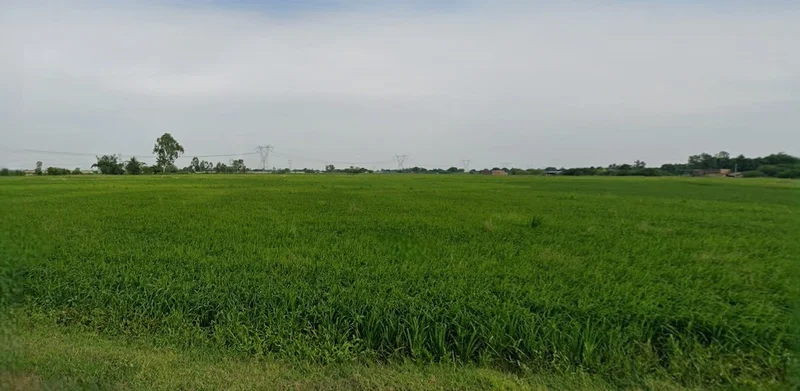 Harda, Madhya Pradesh 461331, India preview 2