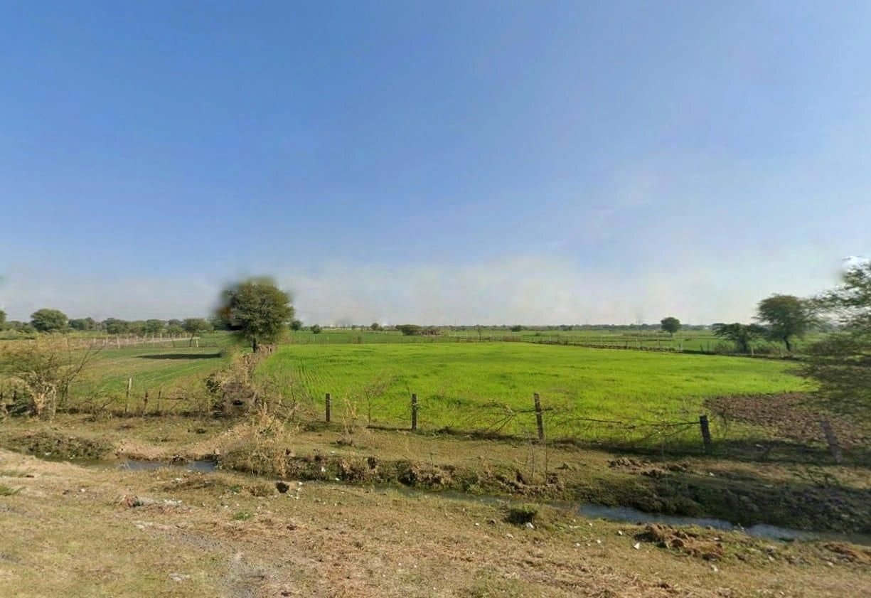 HX55+87 Jaisinghpura, Rajasthan, India