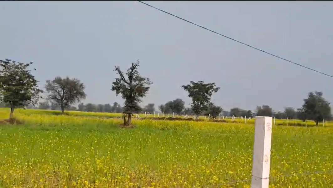 Bhawanpura, Rajasthan 321405, India