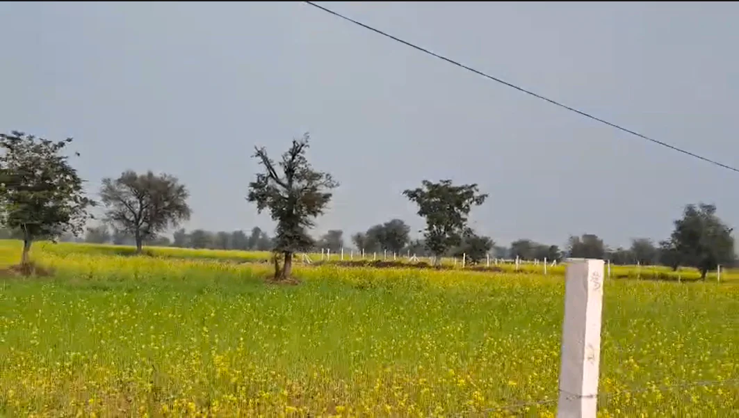 Bhawanpura, Rajasthan 321405, India preview 2