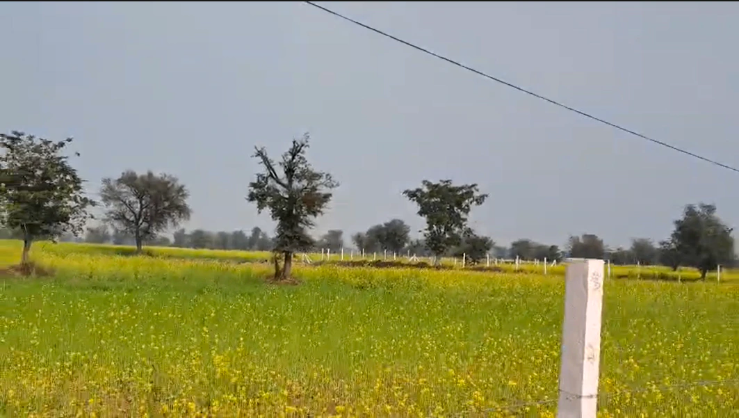 Bhawanpura, Rajasthan 321405, India