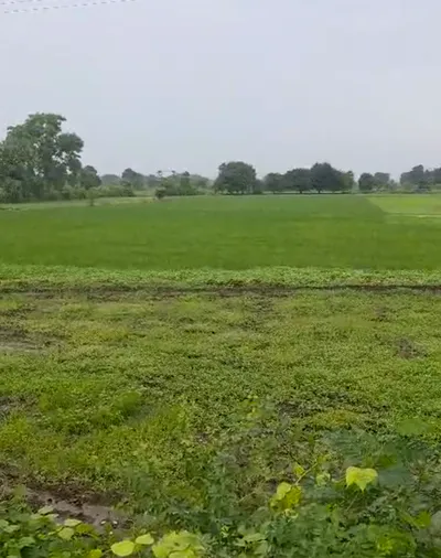 FXJF+WR7, Indore, Gajinda, Madhya Pradesh 453552, India preview 2