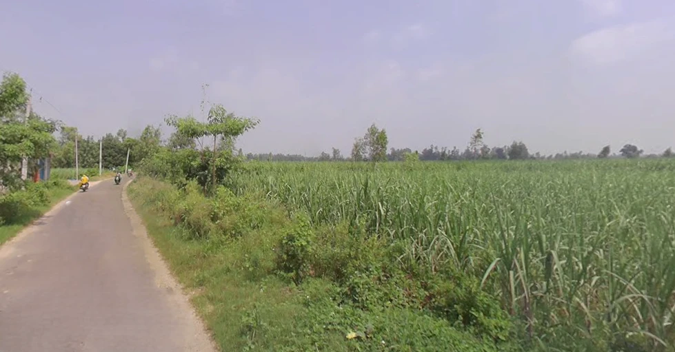 Behsuma, Uttar Pradesh 250401, India