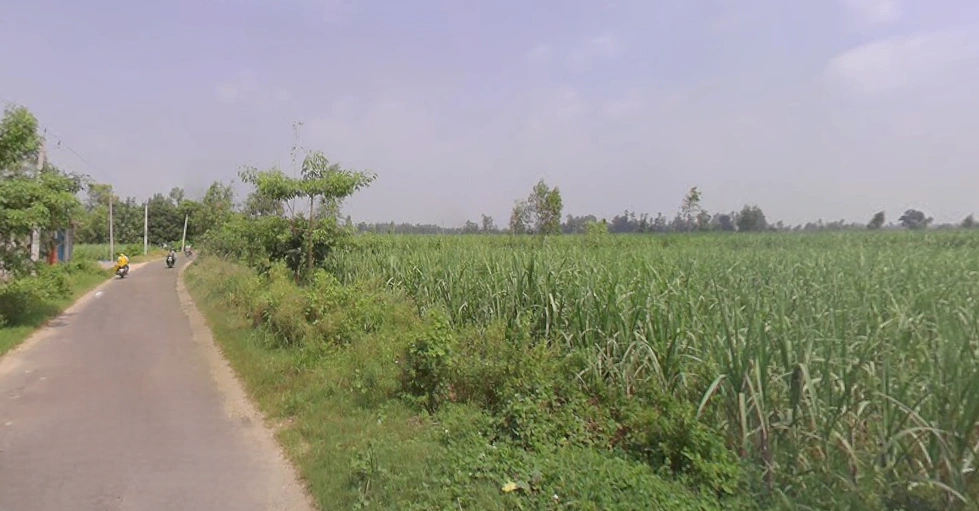 Behsuma, Uttar Pradesh 250401, India