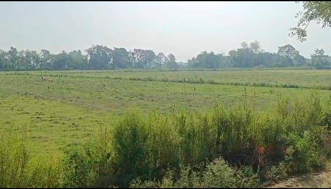 Sujrai, Kasganj, Uttar Pradesh 207241, India