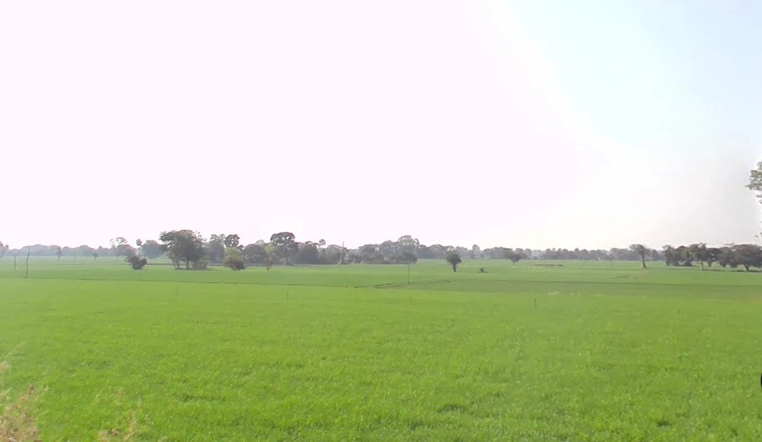 Nawagarh, Chhattisgarh 491337, India