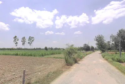 Moradabad, Tajpur Mafi, Uttar Pradesh 244001, India preview 3