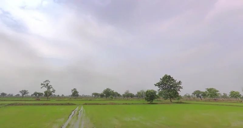 Bhalera, Chhattisgarh 493661, India preview 2