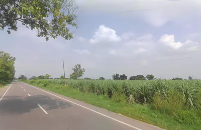 Baraut Rural, Uttar Pradesh, India preview 3