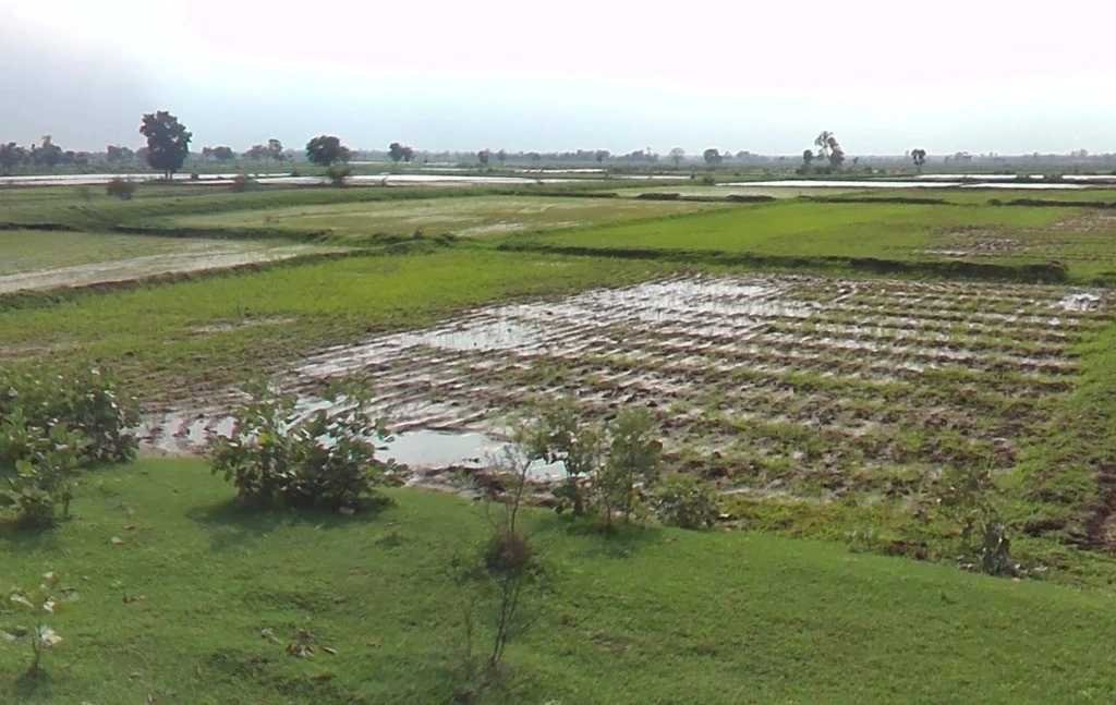Raiyarao, Madhya Pradesh, India