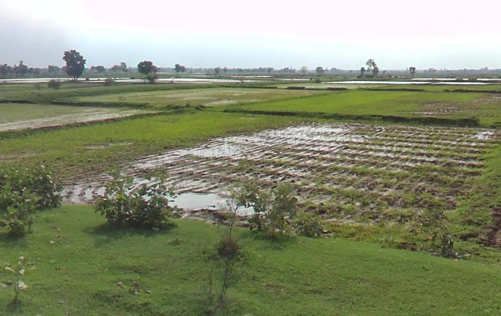 Raiyarao, Madhya Pradesh, India