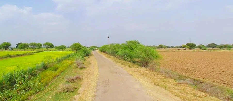 Barnagar, Madhya Pradesh 456771, India
