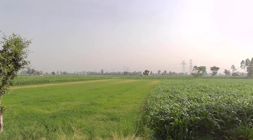 Kila Rd, Prabhat Nagar, Meerut, Uttar Pradesh 250001, India