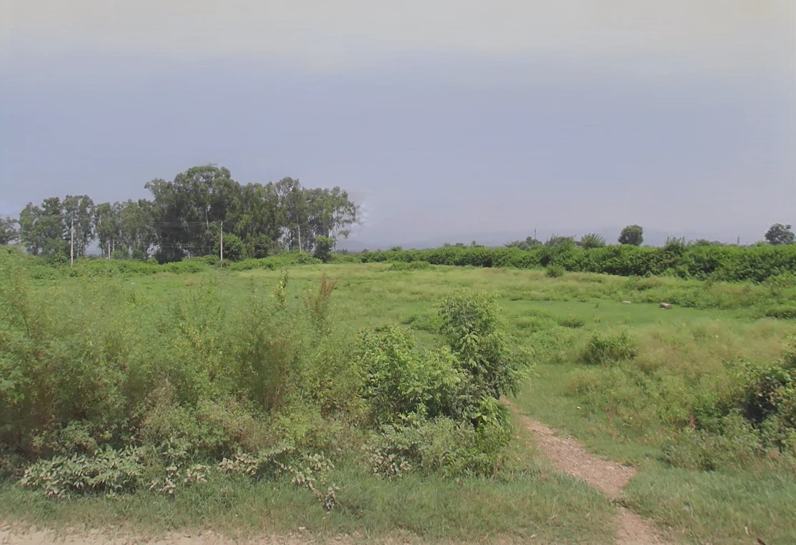 Billa, Haryana 134118, India
