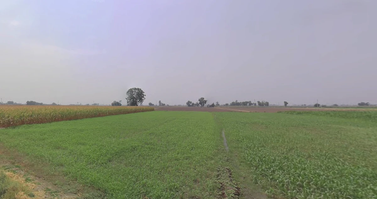 Lakadia, Gujarat 370145, India