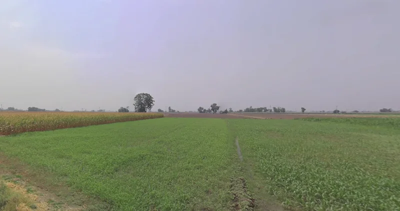 Lakadia, Gujarat 370145, India preview 2