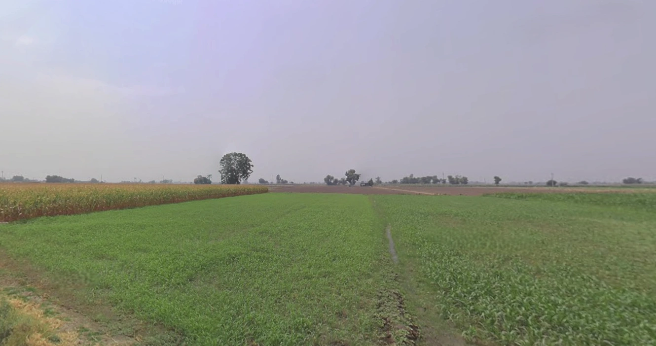 Lakadia, Gujarat 370145, India