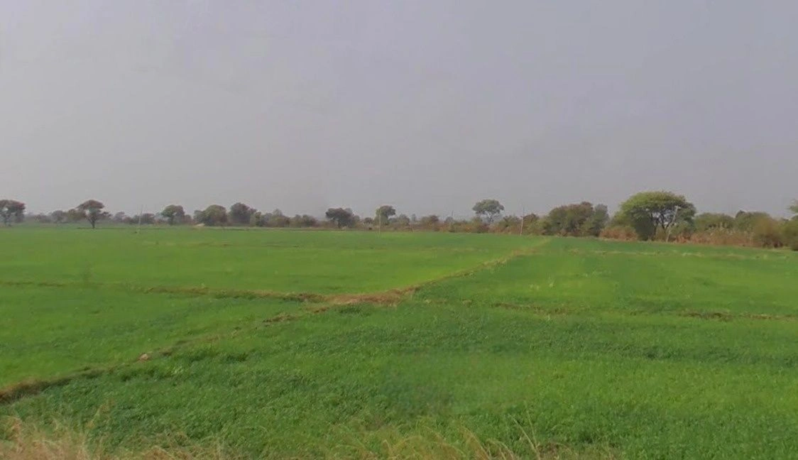 Salkanpur, Madhya Pradesh 466446, India