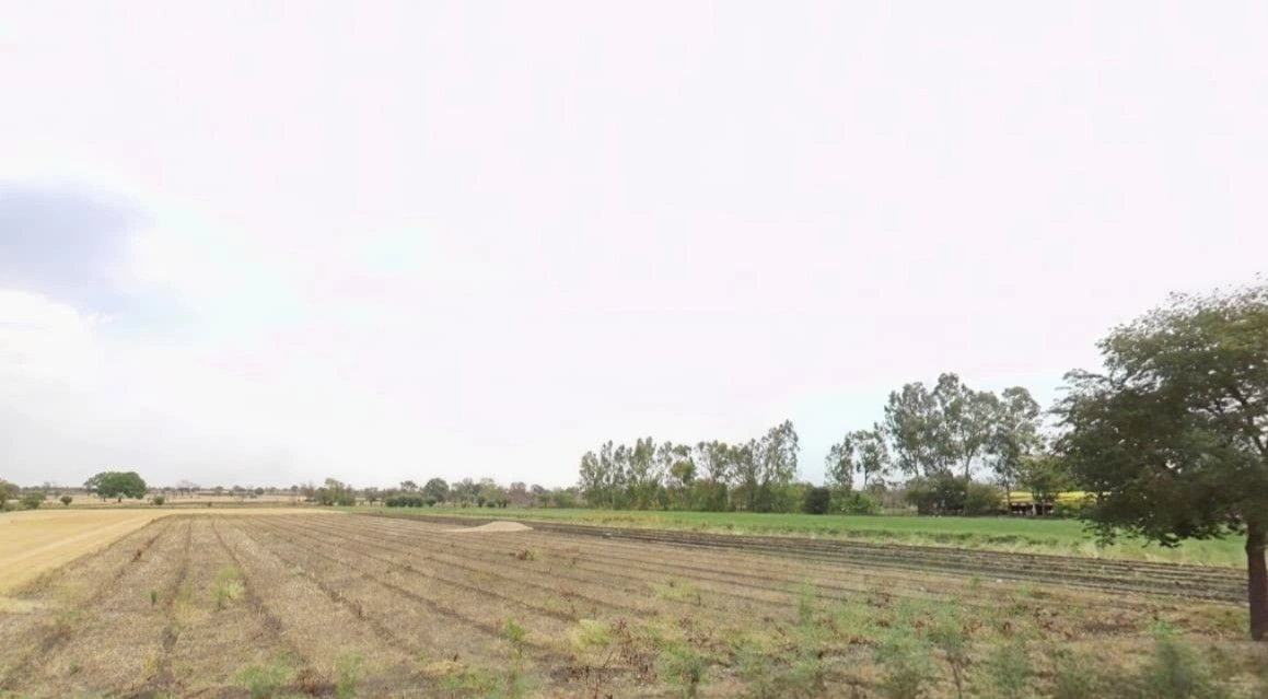 Nalkheda, Madhya Pradesh 465445, India preview 3