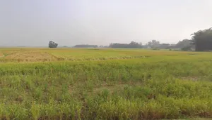 Kharagpur, West Bengal, India preview 3