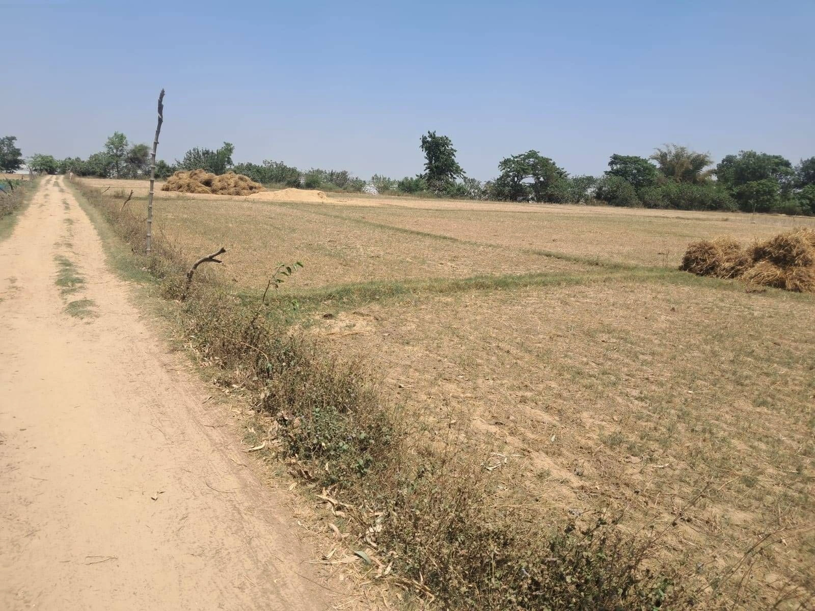 Deo Ka Harwara, Rajasthan 303104, India preview 3