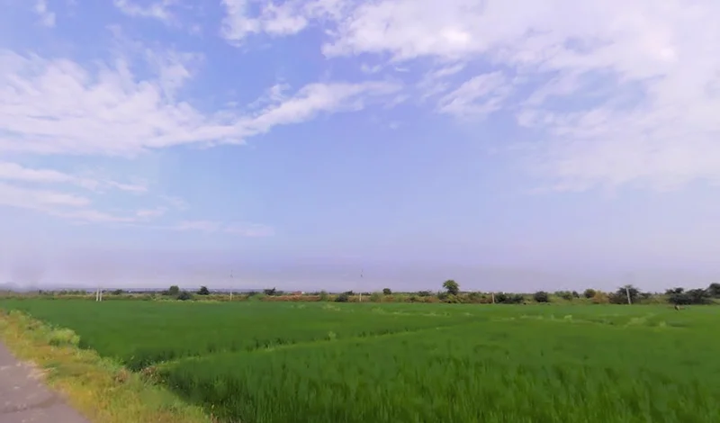 Sohna, Haryana 122103, India preview 2