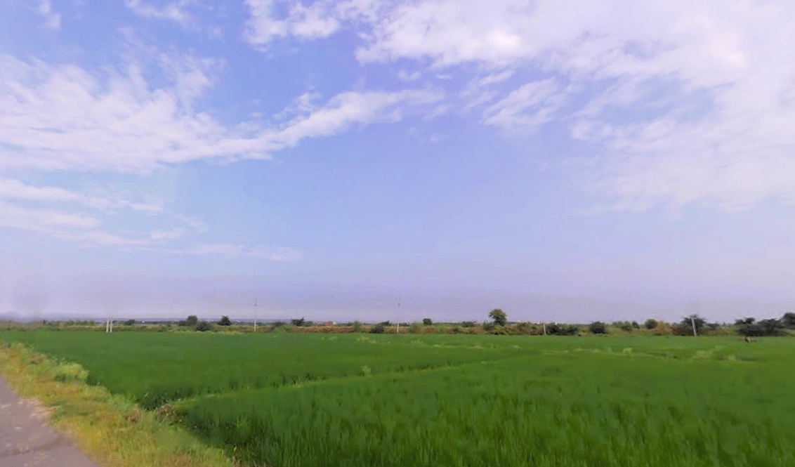 Sohna, Haryana 122103, India