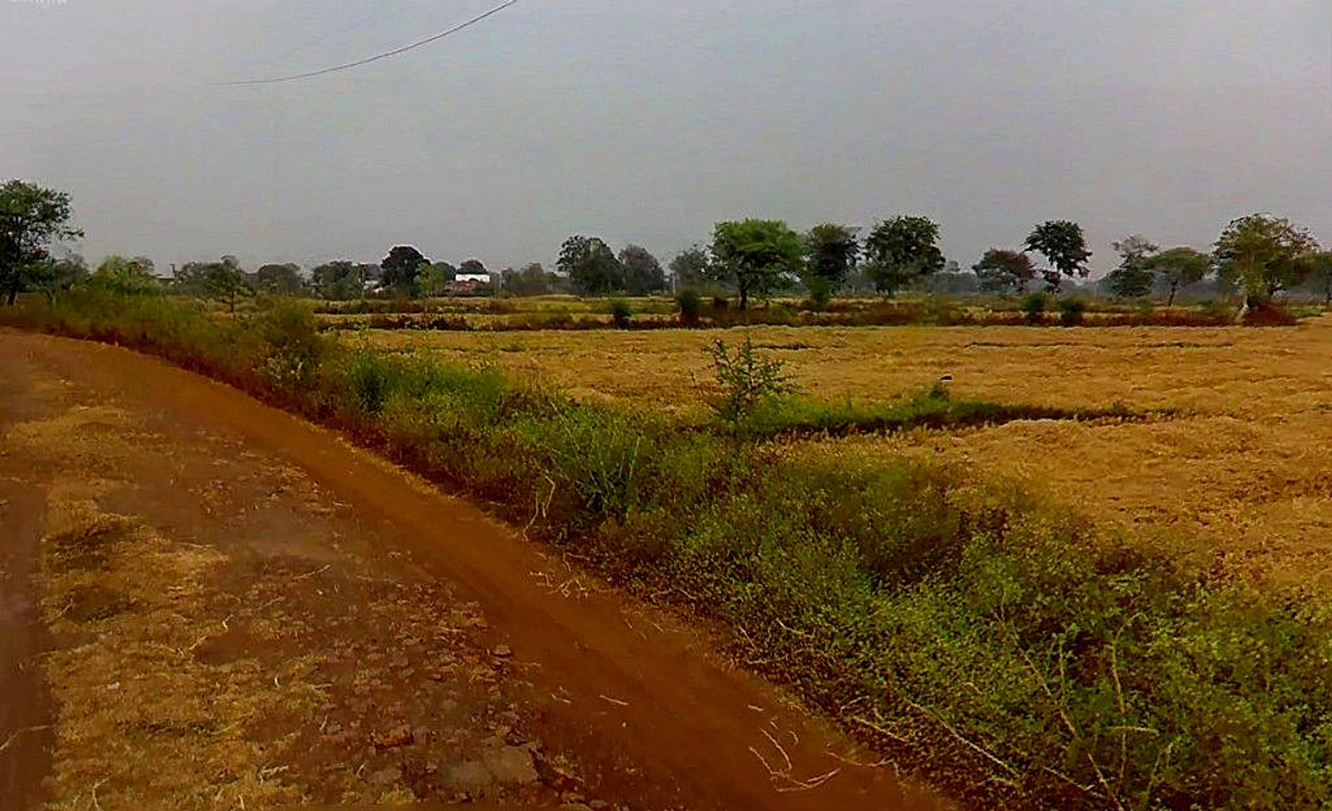 Baktara-2, Chhattisgarh 493661, India