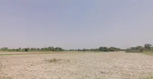 Terasiya, Bihar, India preview 2