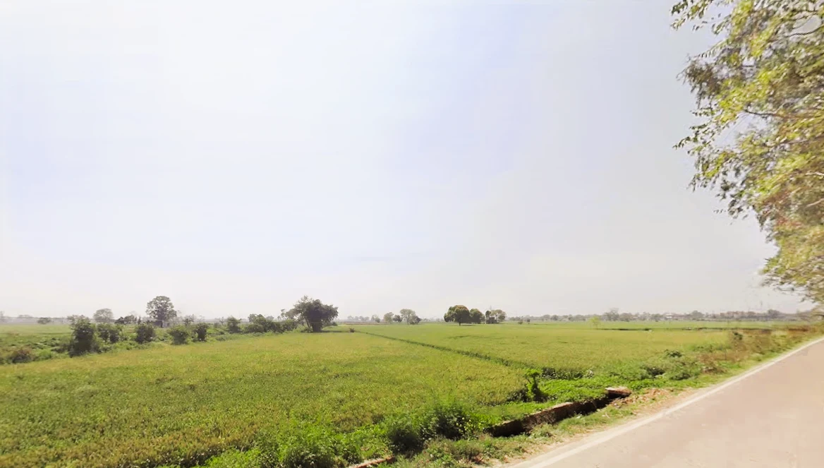 Ganaur, Haryana 131101, India