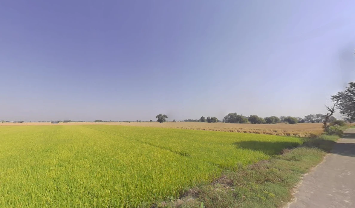 Domra, West Bengal 713148, India