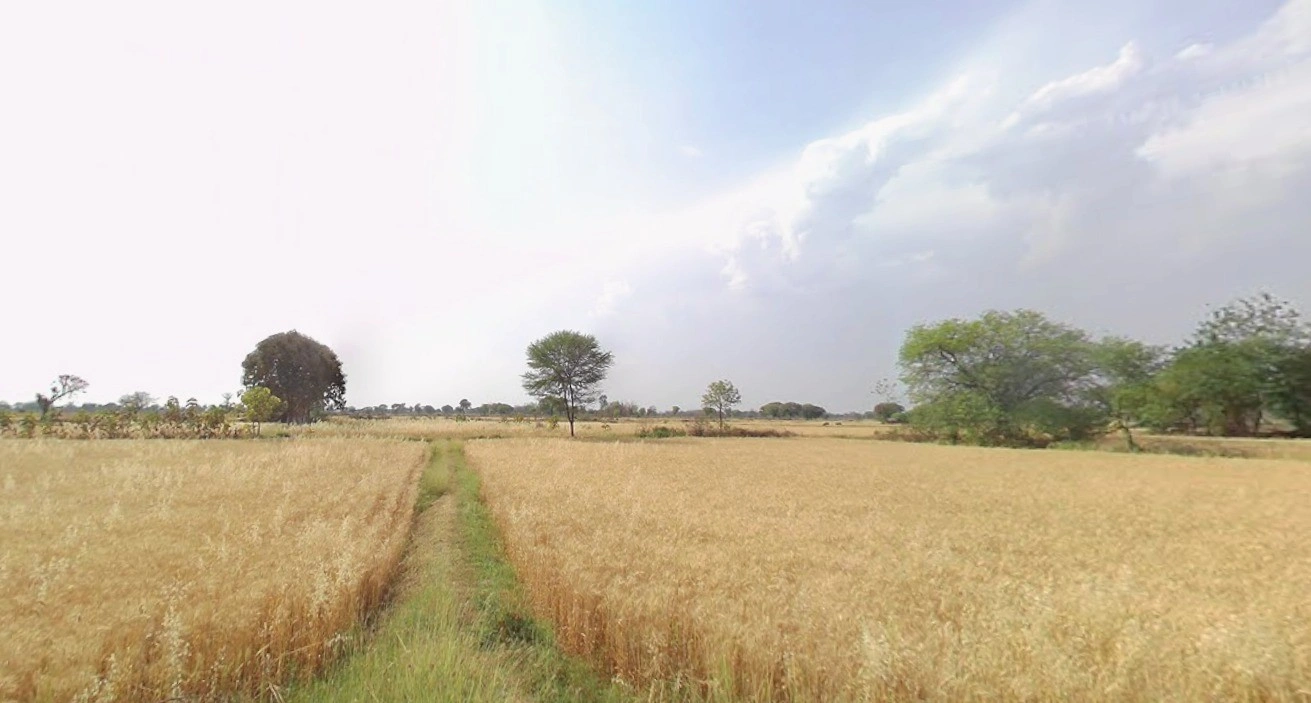 Satna, Madhya Pradesh, India