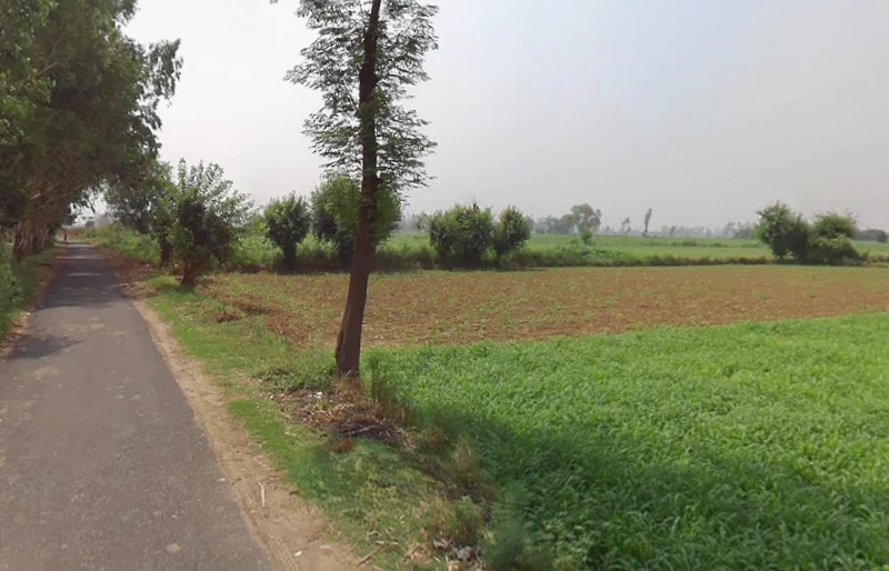 Hastinapur, Uttar Pradesh 250404, India