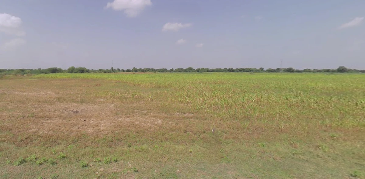 Liyad, Gujarat 363410, India