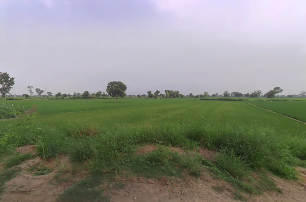 Dabwali, Haryana 125104, India preview 3