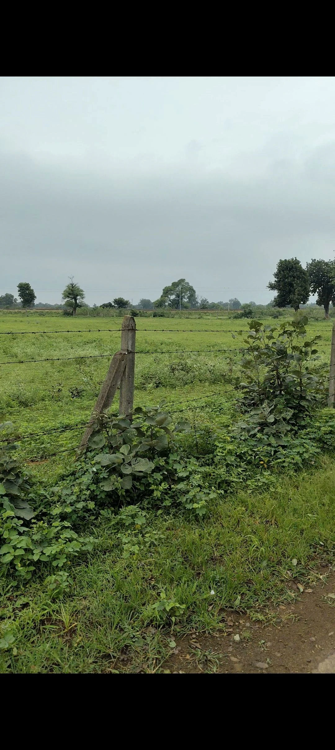 Bisapur, Chhindwara, Madhya Pradesh 480001, India