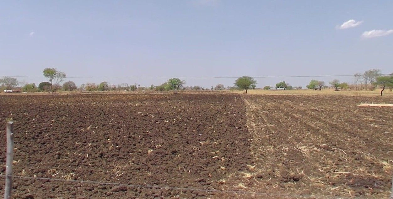 Gopalpura, Madhya Pradesh 475673, India