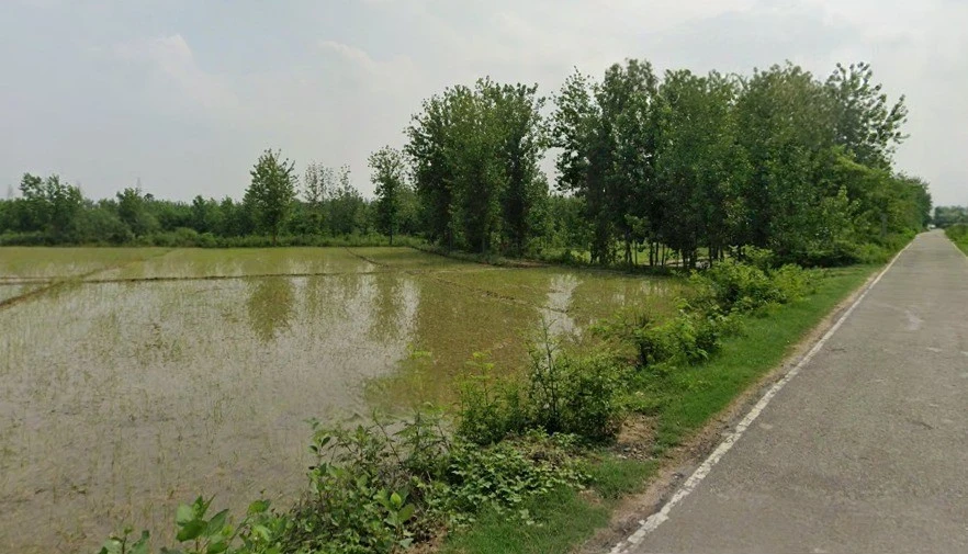 Rampur, Uttar Pradesh, India