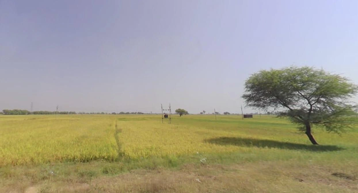 Sanchet, Madhya Pradesh, India preview 3