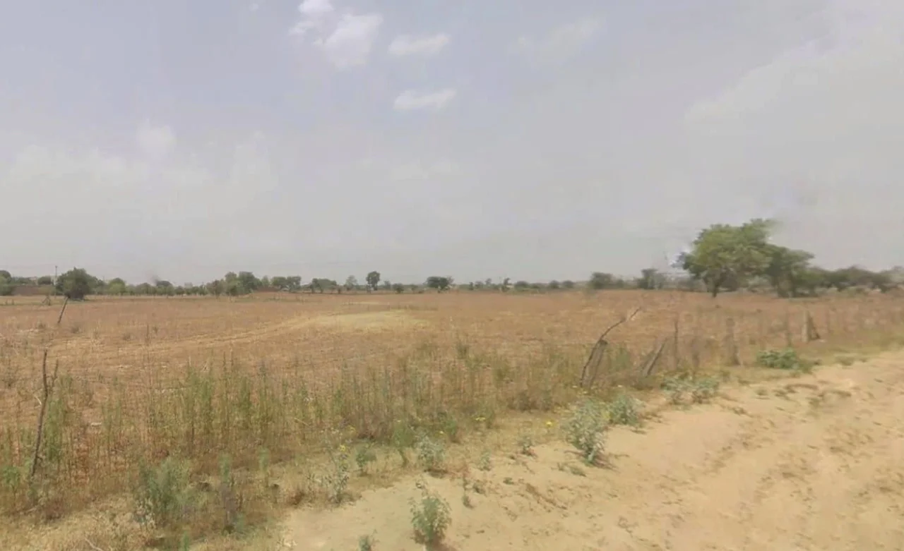 Naurangpur, Haryana 122012, India preview 2