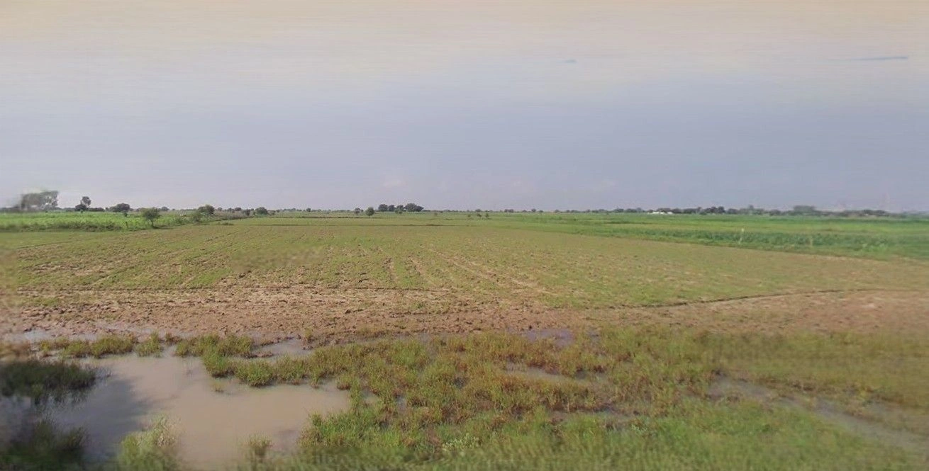 Badli, Haryana 124105, India